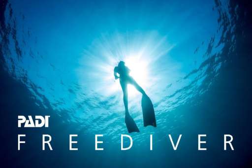 Freediver | RnG Diving